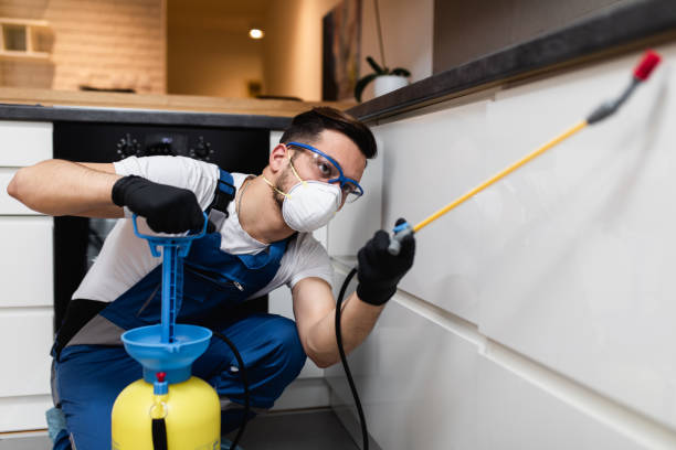 Best Emergency Pest Control  in Cutchogue, NY