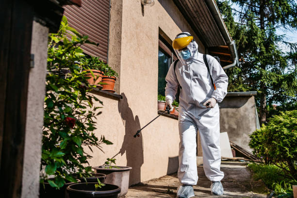 Best Insect Control  in Cutchogue, NY