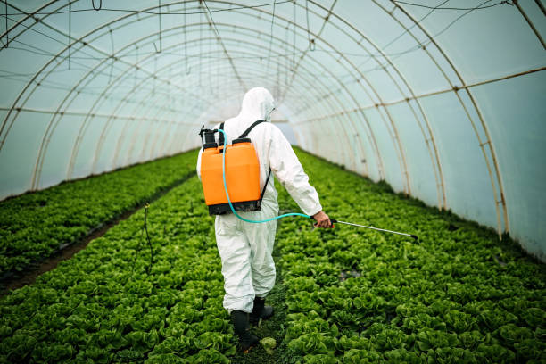 Best Commercial Pest Control Services  in Cutchogue, NY