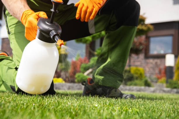 Best Best Pest Control Companies  in Cutchogue, NY