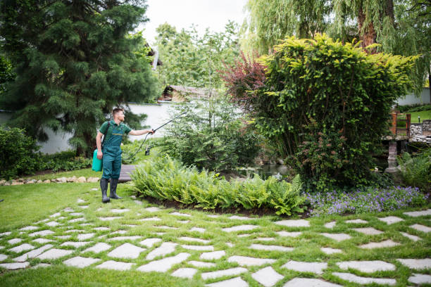 Best Affordable Pest Control Services  in Cutchogue, NY