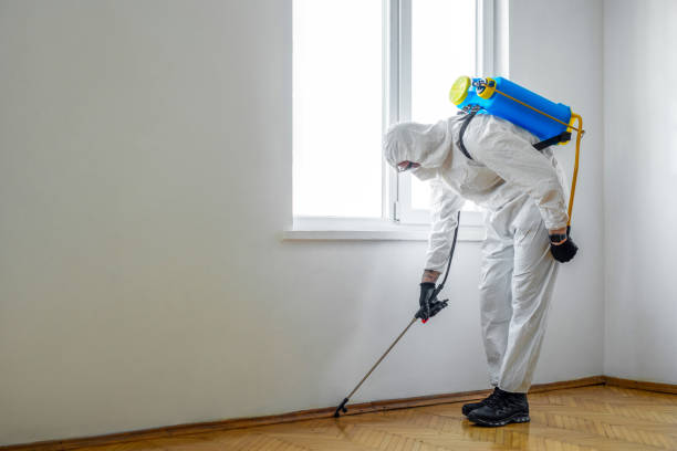 Best Cockroach Control Services  in Cutchogue, NY