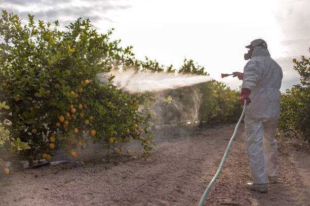 Best Exterminator Services  in Cutchogue, NY